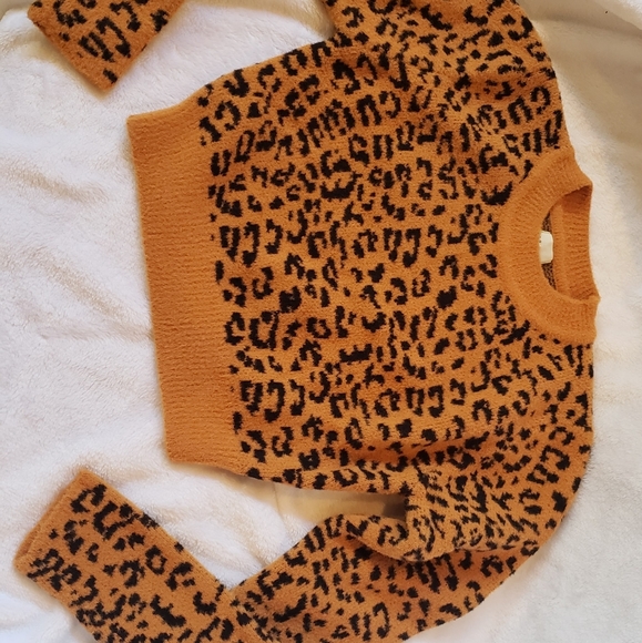 Dee Elly Leopard Print Knit Crop Sweater - Picture 3 of 3